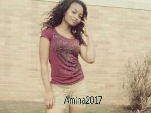 Amina2017