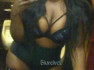 Bluvelvet