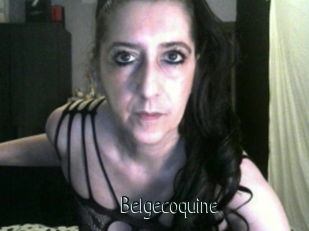 Belgecoquine