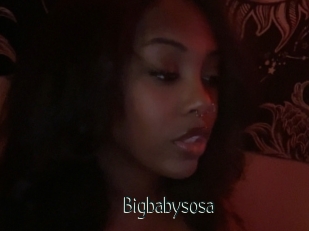 Bigbabysosa