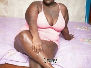 Chany