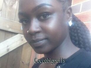 Cocoabigpuffs