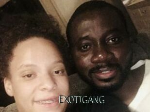 EXOTIGANG