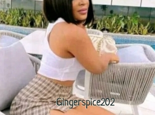 Gingerspice202