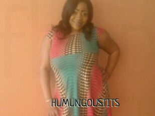 HUMUNGOUSTITS