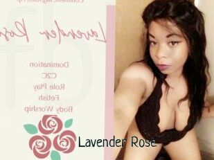 Lavender_Rose