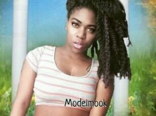 Modelmook