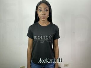 NoaKane18