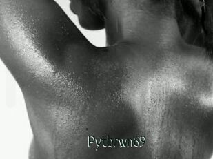 Pytbrwn69