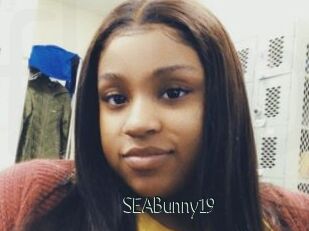 SEABunny19
