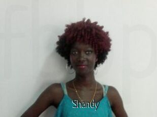 Shandy