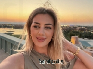 Sarahcollie