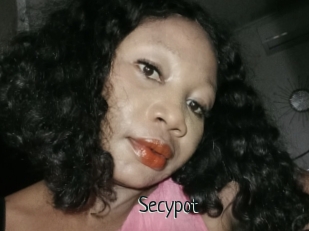 Secypot