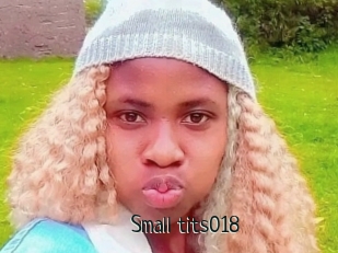 Small_tits018