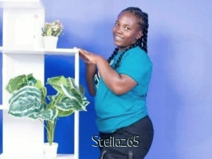 Steilaz65