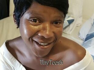 TinyToosh