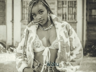 Wahu